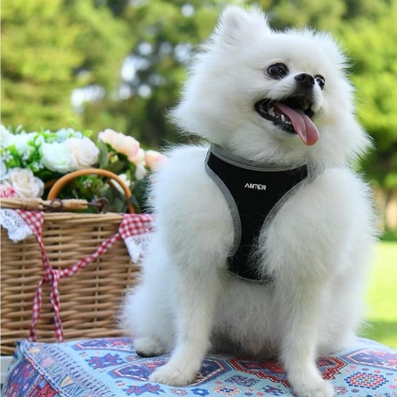 AMTOR MEDIUM DOG HARNESS/LEASH. Reflective Harness. - Picture 2 of 9